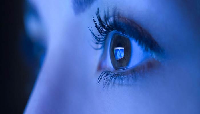 human eye contains two types of light-sensitive cells